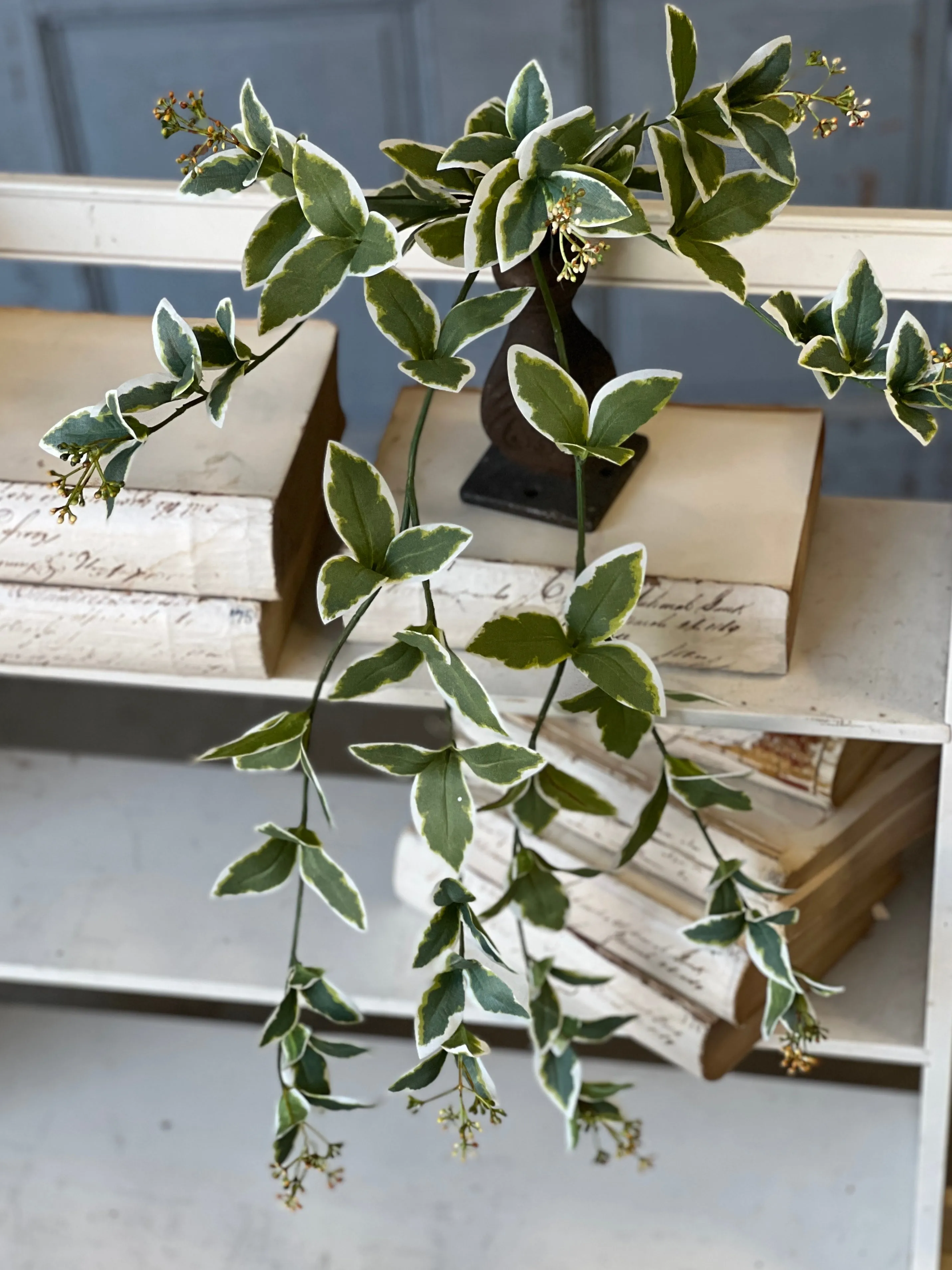 Cupid Vine Hanging | 24" | NOT CURRENTLY IN STOCK-New For Spring 2025!