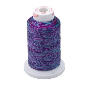 Gunold Embroidery Thread (Multi Color) - SULKY 40 - 1000m - 2204