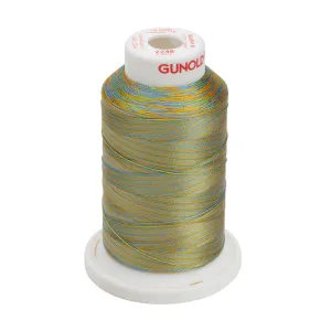 Gunold Embroidery Thread (Multi Color) - SULKY 40 - 1000m - 2246