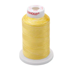 Gunold Embroidery Thread Sulky 40 - 1000m - 2134 Ombre Colour thread