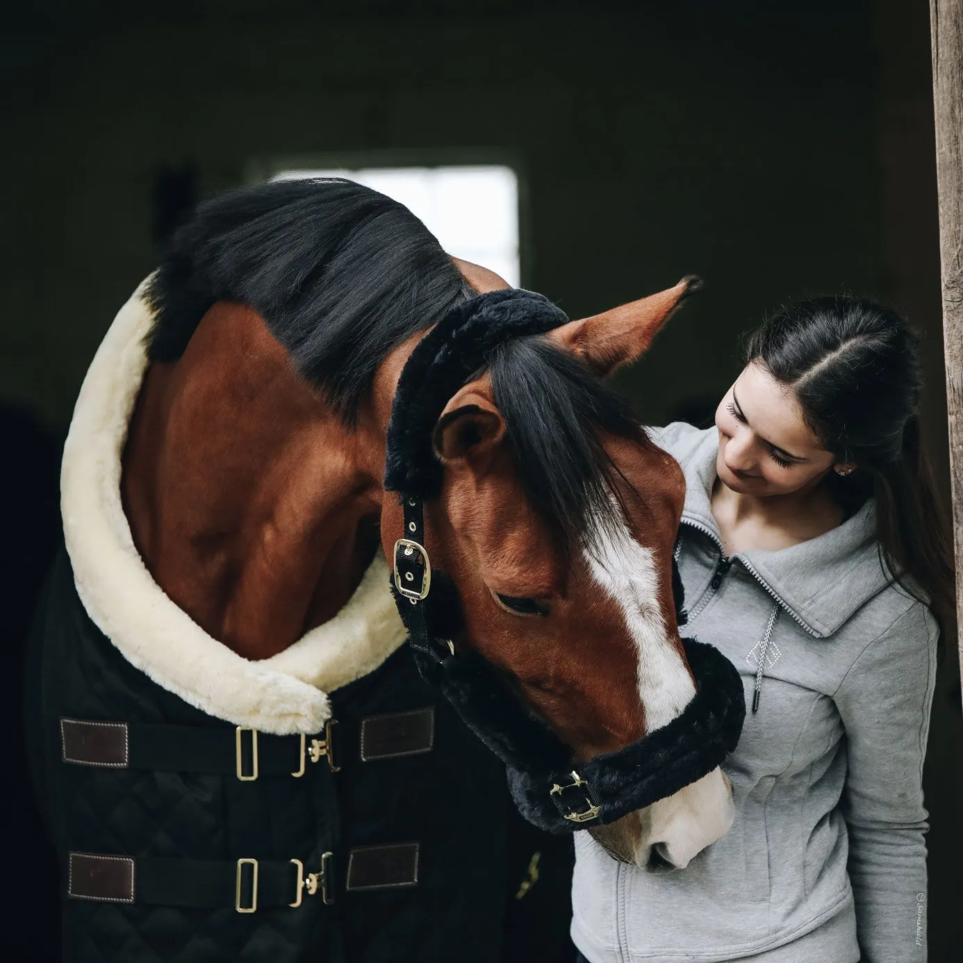 Kentucky Horsewear Show Rug - Black